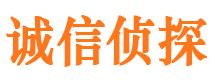 平乐市侦探公司